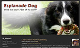 EsplanadeDog website