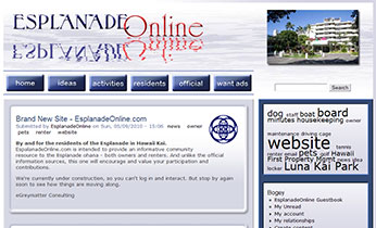 EsplanadeOnline website